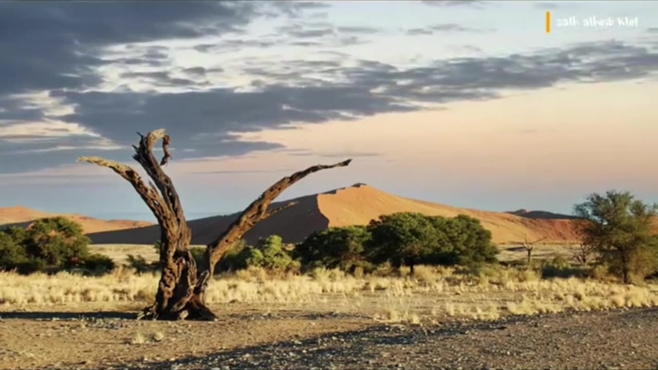 موسيقى الشرق الأوسط نبض الصحراء _Middle Eastern music, pulse of the desert