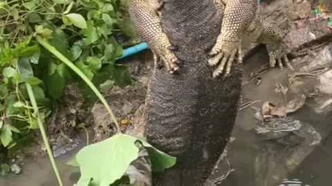 Everybody needs a hug