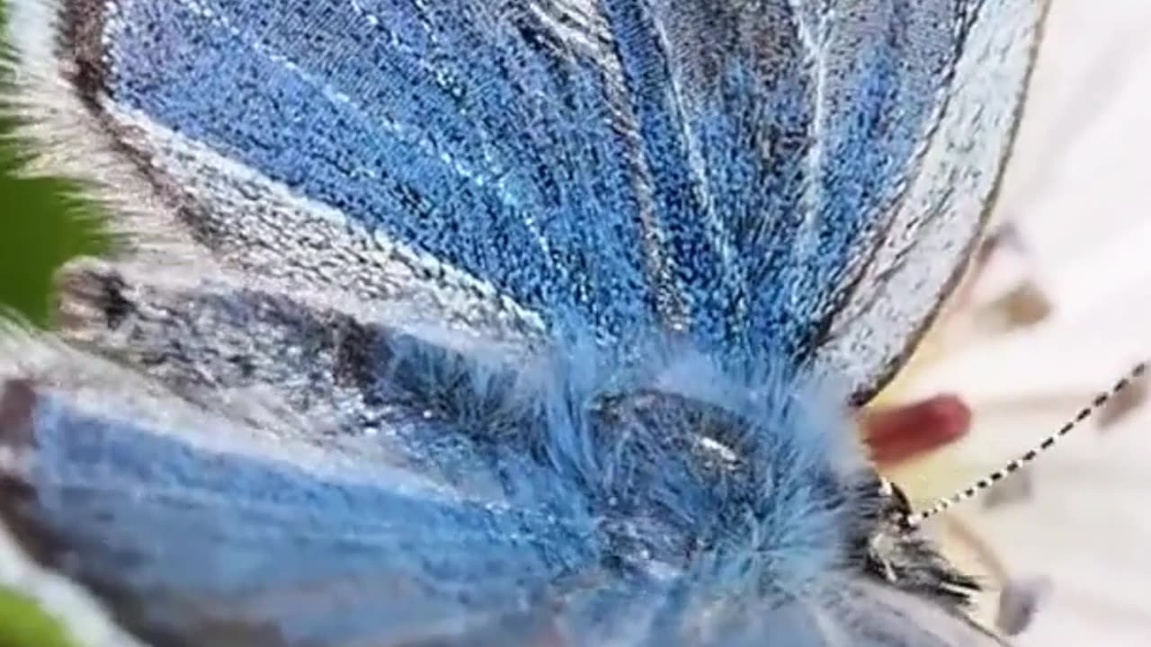 Please, remember magic is within you