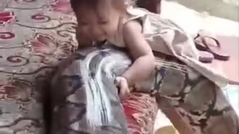 Python as a pet