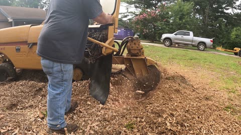 "From Grinder Teeth to Tax Talk — Real Life in the Stump Business"