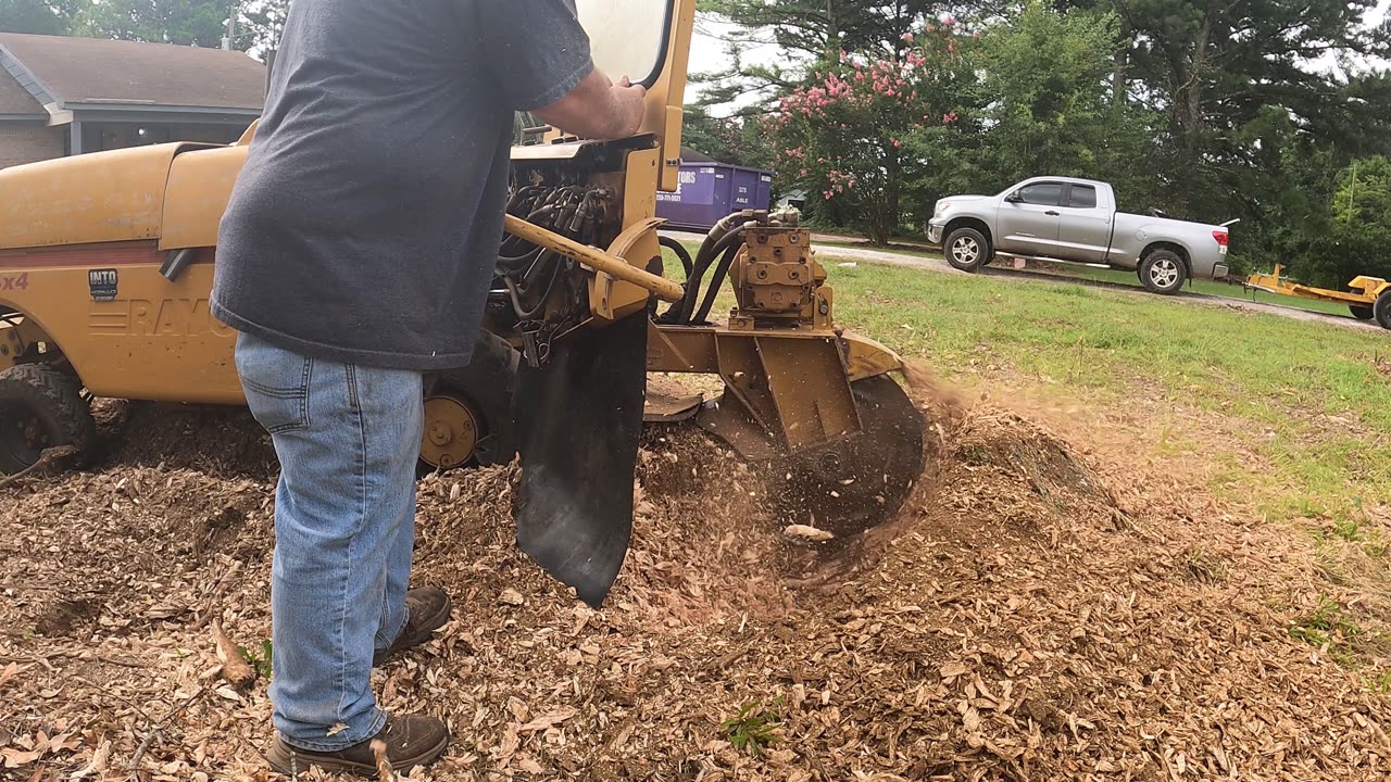 "From Grinder Teeth to Tax Talk — Real Life in the Stump Business"