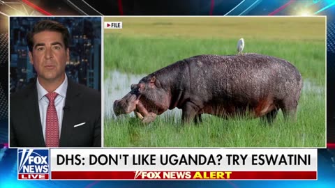 🚨“Maryland Dad” is getting DEPORTED to the country of ESWATINI