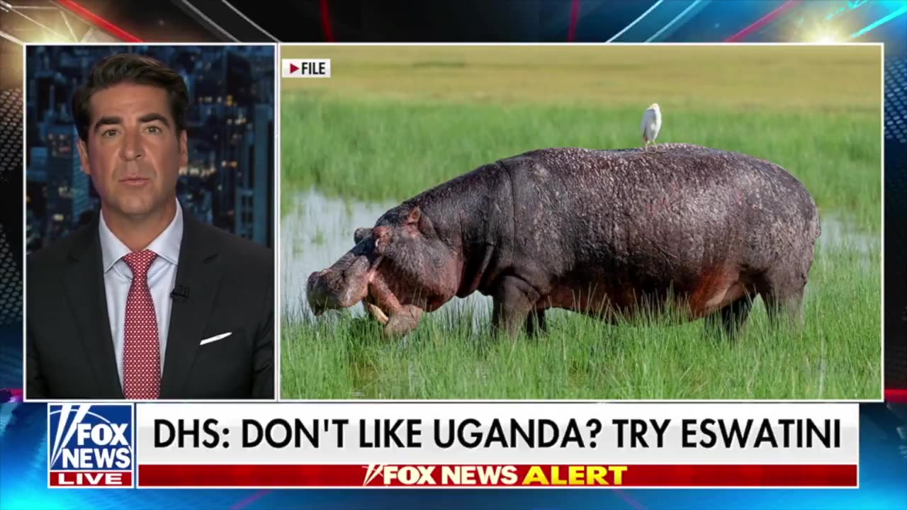 🚨“Maryland Dad” is getting DEPORTED to the country of ESWATINI