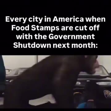 This is the USA when the EBT Food stamps get shut off in November