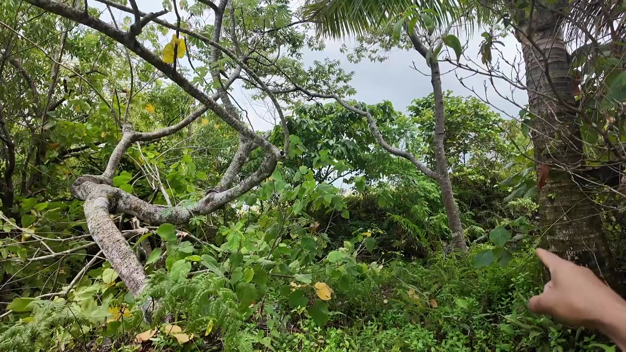 Visitors TALK, Members WALK. THE SCIENCE OF EDEN [AUG 3 FULL 3hr VIDEO] Philippines Edenology 101