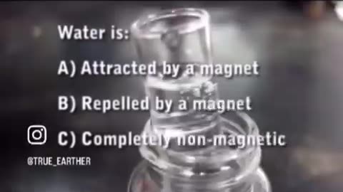 Gravity vs magnetism
