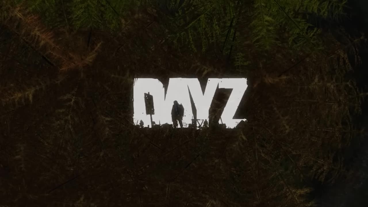 I Spent One Life Hunting Survivors #dayz #survivalgame #gaming #survivor47