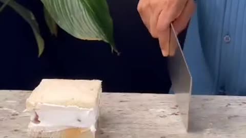 Fruit sandos