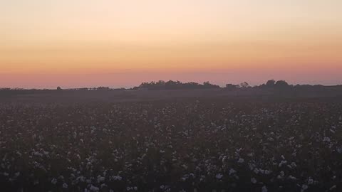 Tuesday with the SFP