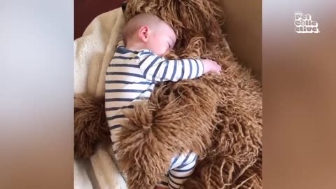 Paws _ Unwind _ BEST Pet Videos to Make You Smile