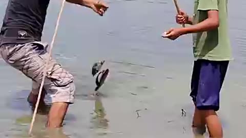Must Watch: best amazing fishing #shorts #fish #funny #viral