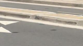BREAKING: Police officer shot in downtown Santa Monica, California; suspect at large.