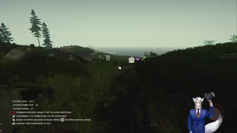 The Forest and tarot readings