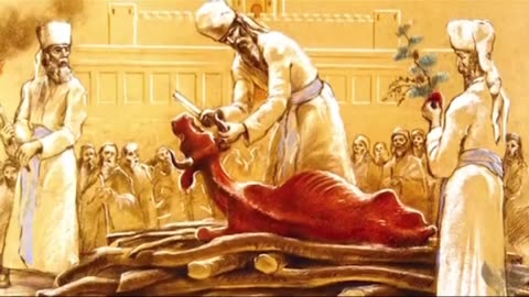 For the first time in history every single prophecy is being fulfilled! #viral #trending #jesus