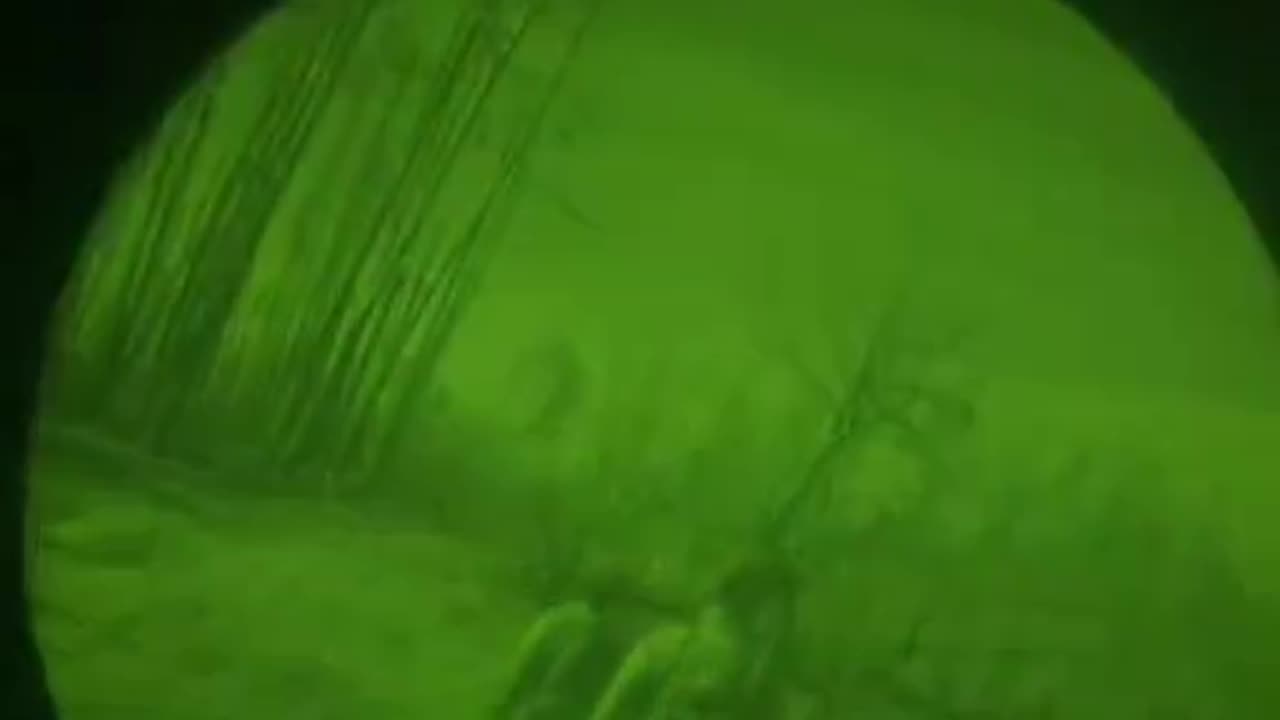 "What's That in the Distance?"
