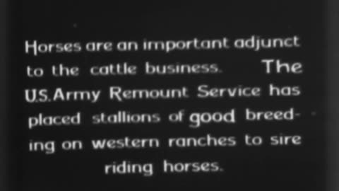 COW BUSINESS, THE - COW BUSINESS, THE - 33-285-r2