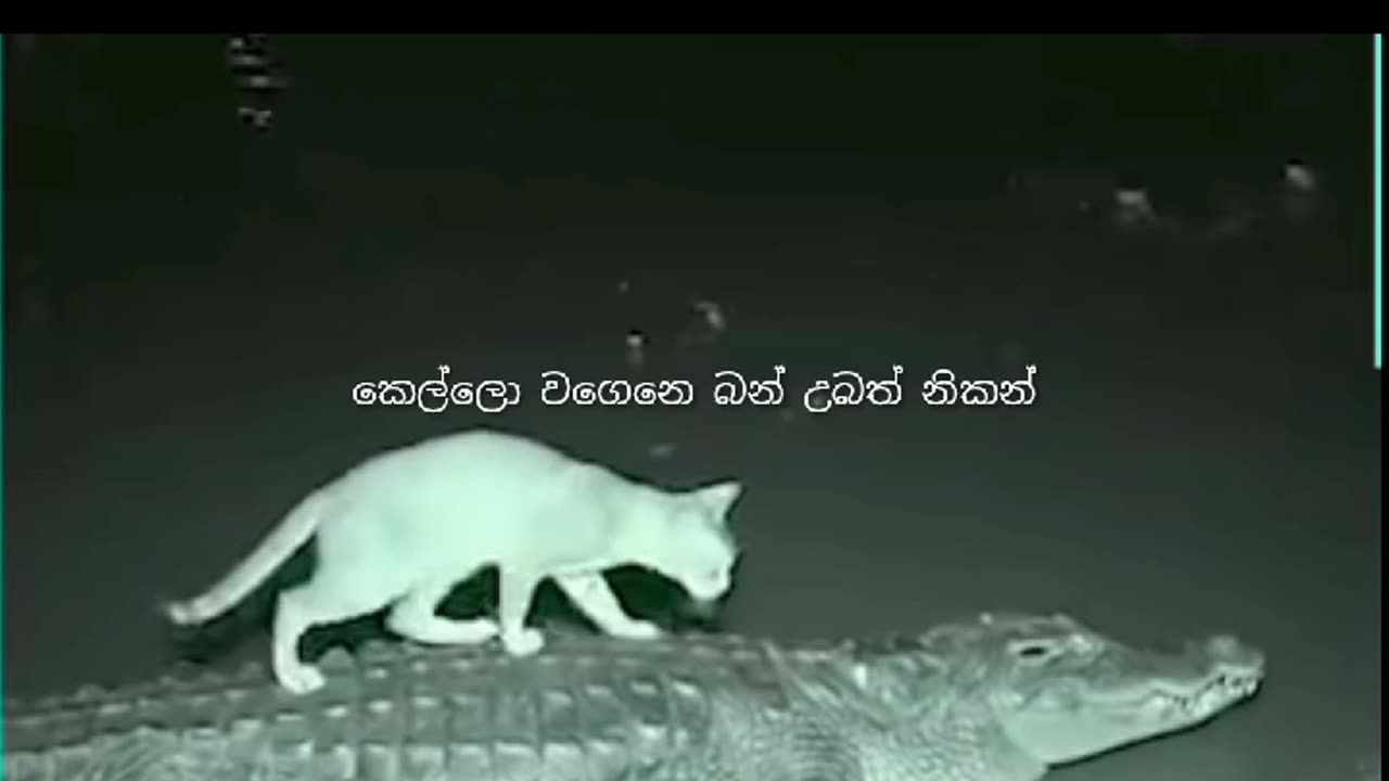 Best friends