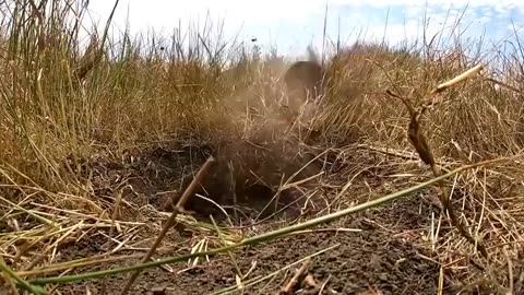 🪖💣 Ukraine Russia War | Ukrainian Sappers Disable Russian TM-62 Mine with Yoink Method | RCF