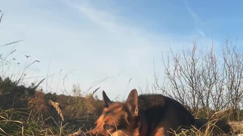 Zapachniało powiewem jesieni