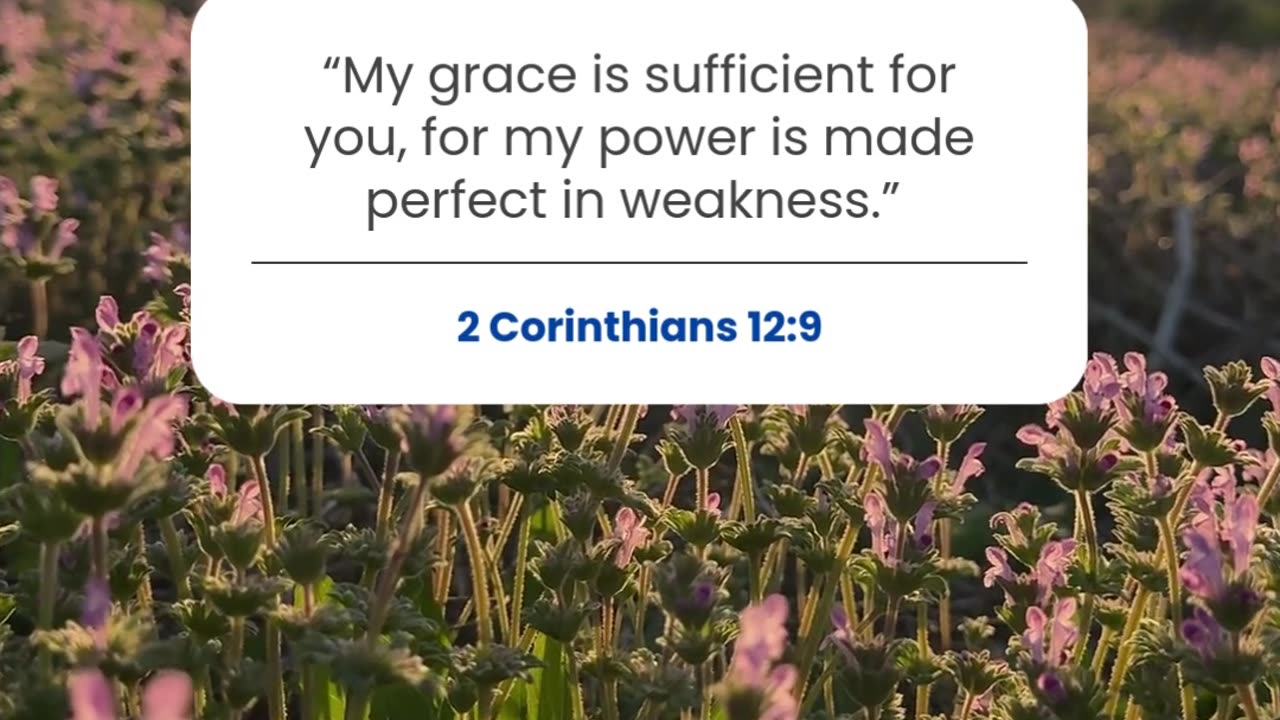 Lord, I give You my weakness—be my strength today.