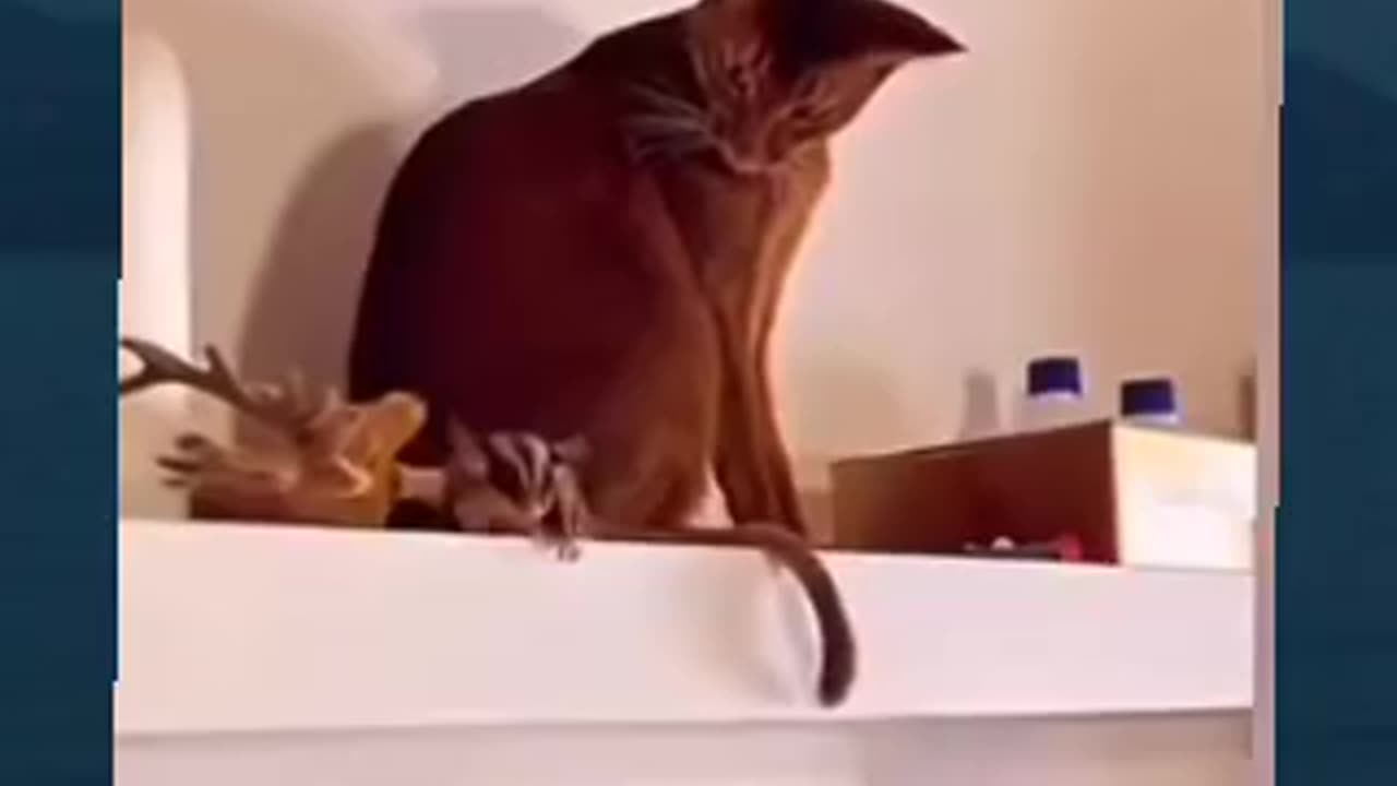 Wow he can fly