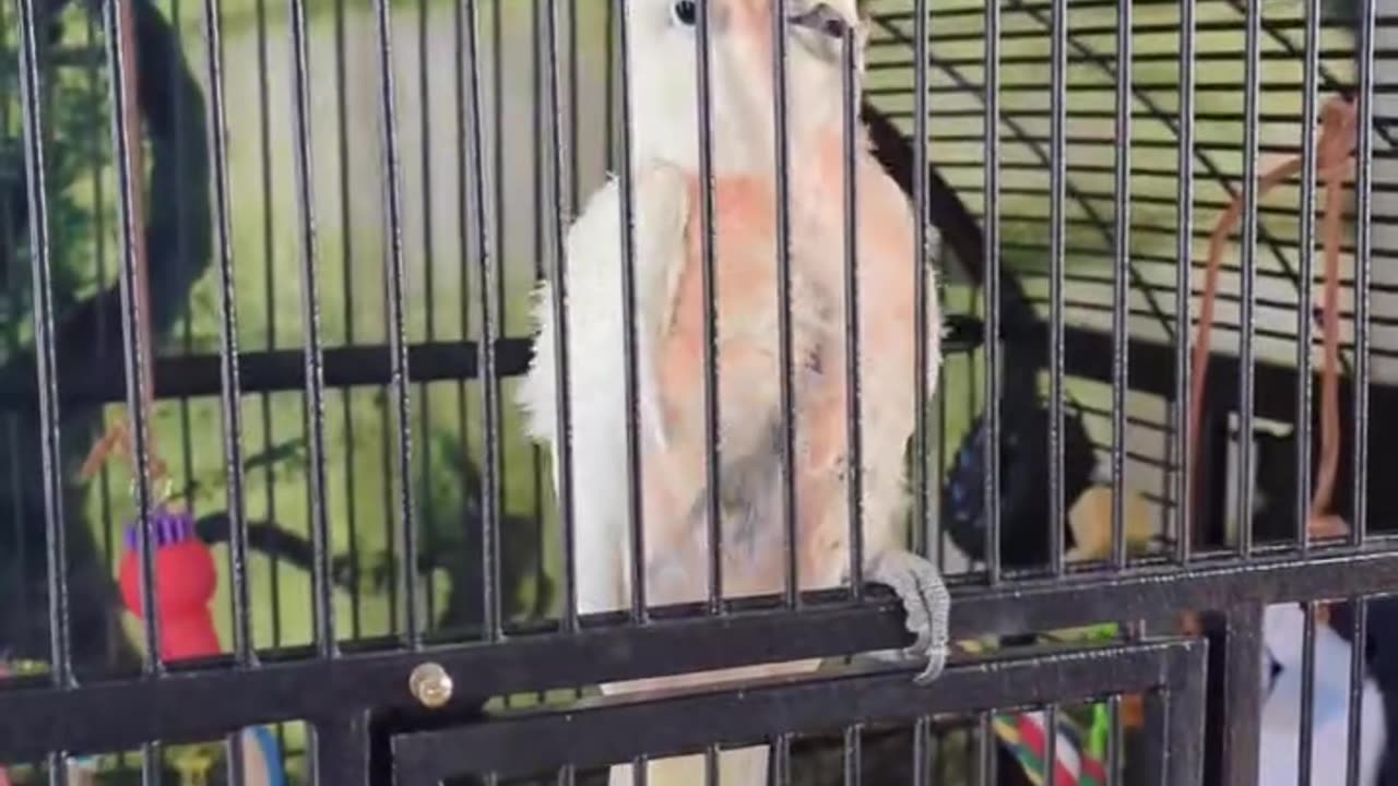 Waking Up Sunny Boy