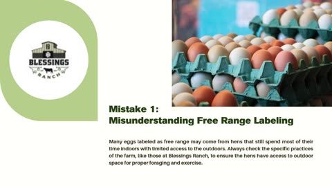 How to Tell if Free Range Eggs Are Truly Free Range