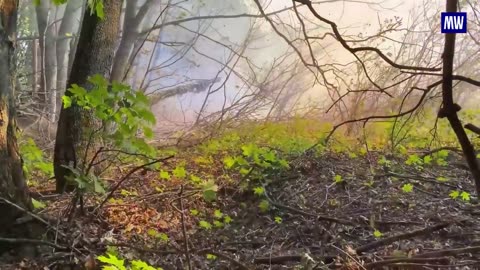 Effective Artillery Operations by the 44th Army Corps on the Kharkov Front
