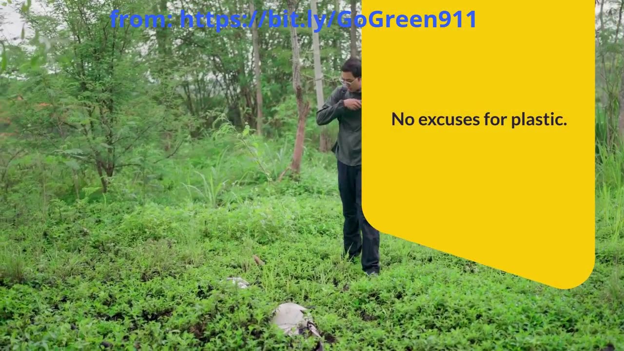 Bulk Up Your Eco-Friendly Habits with a Sustainable Cotton Tote Bag – Save the Planet in Style!