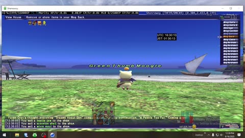 Playing Final Fantasy XI Online