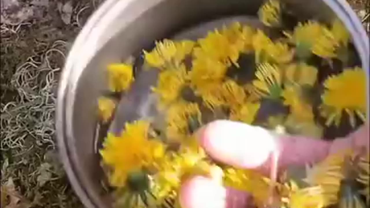 Dandelion Fitters