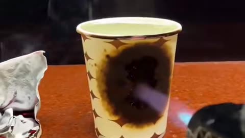 Blowtorch vs paper cut with water