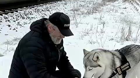 Animal warning to humans