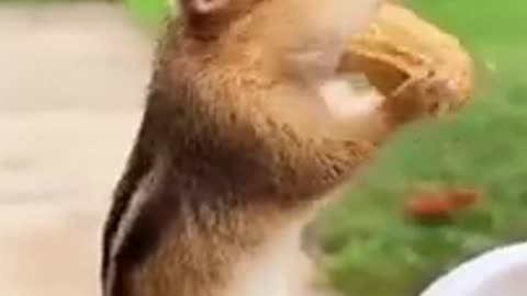 Cute and beautiful