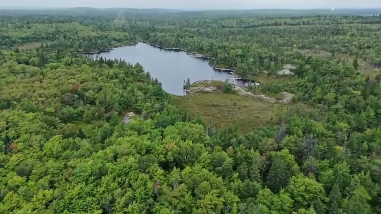 INDIGENOUS TEACHINGS ABOUT THE SASQUATCH