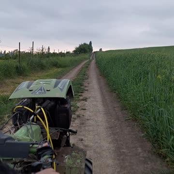 My brother and I are going to the garden on a walk-behind tractor