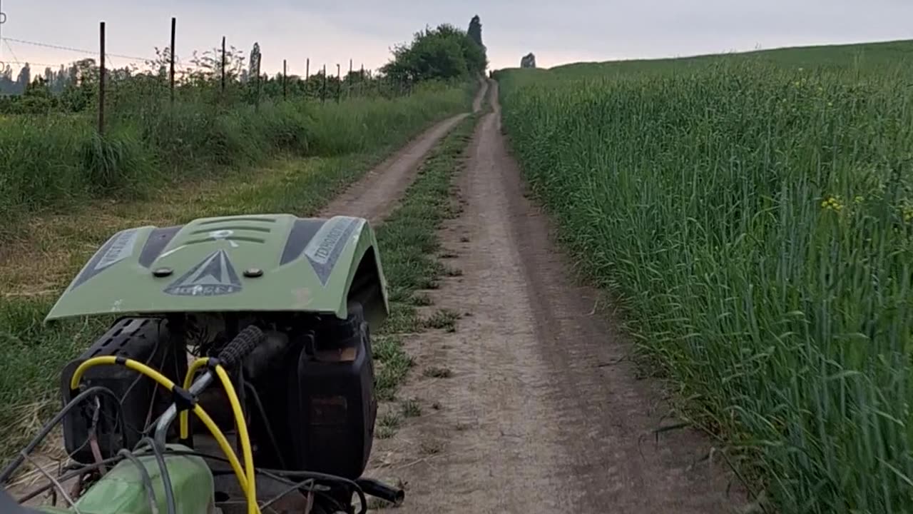 My brother and I are going to the garden on a walk-behind tractor