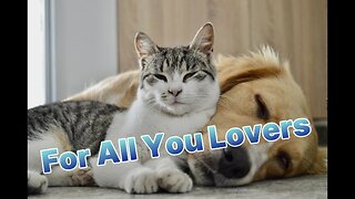 FOR ALL YOU LOVERS