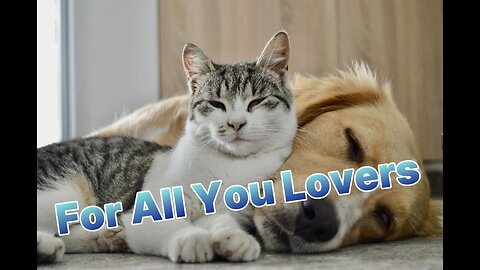FOR ALL YOU LOVERS