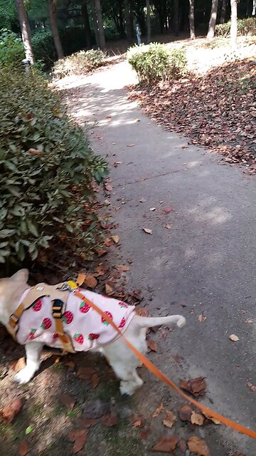 20251028. God Is Love.