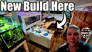 Aquarium Upgrades, Settling Filters and a New Tank Build!