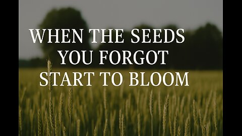 When the Seeds You Forgot Start to Bloom – A Faith-Filled Wake-Up Call