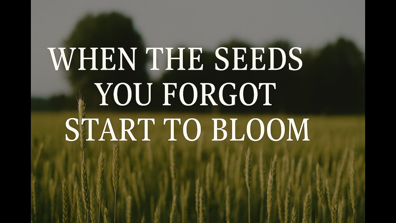 When the Seeds You Forgot Start to Bloom – A Faith-Filled Wake-Up Call
