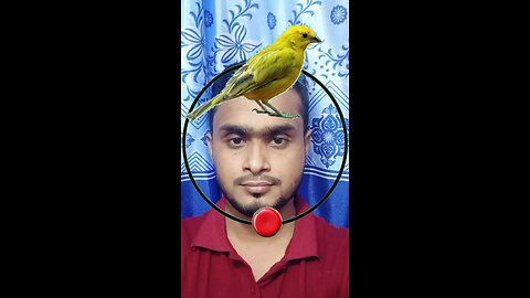 পাখিটি জোড়া লাগান ৪৯ #reels #puzzle #tending
