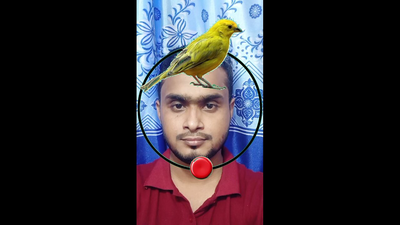 পাখিটি জোড়া লাগান ৪৯ #reels #puzzle #tending