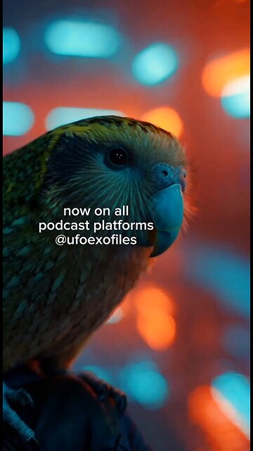 "Knight UFO News Now on All Podcast Platforms!"