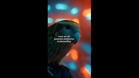 "Knight UFO News Now on All Podcast Platforms!"