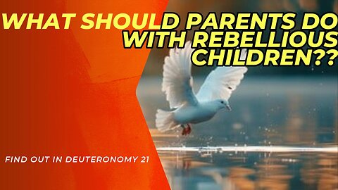 What Should Parents Do with Rebellious Children?
