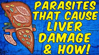 Parasites That Cause Liver Damage & How (Science Based)